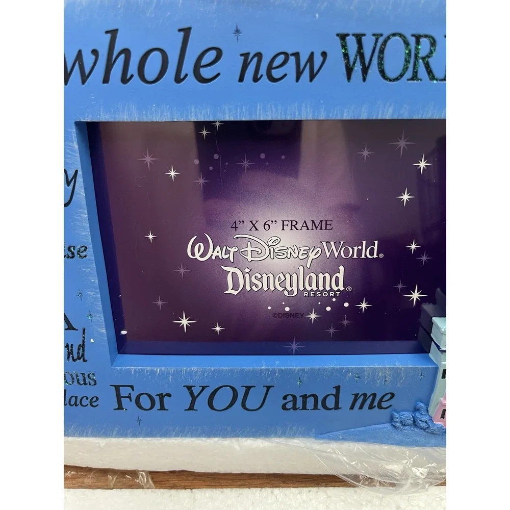 Disney Parks A Whole New World Castle Picture Frame Disney World 4